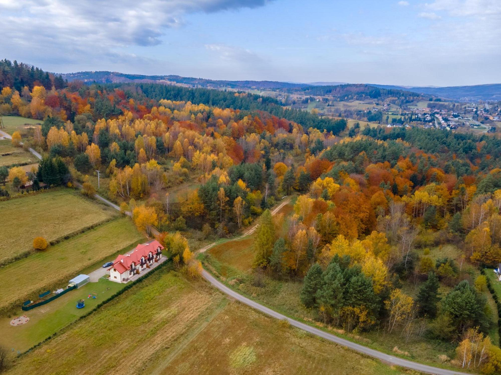 Panorama 881-751-206 *